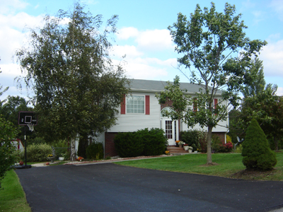 Landscapes featuring mature trees add value as well as beauty to the property